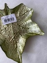 Grape Line Assiette Verte 21Cm