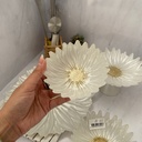 Fleur Bol Pearl White