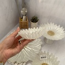 Fleur Bol Pearl White 10Cm