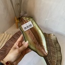 Leaf Assiette Verte 21Cm