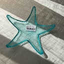 Starfish Assiette Aqua Blue 21Cm