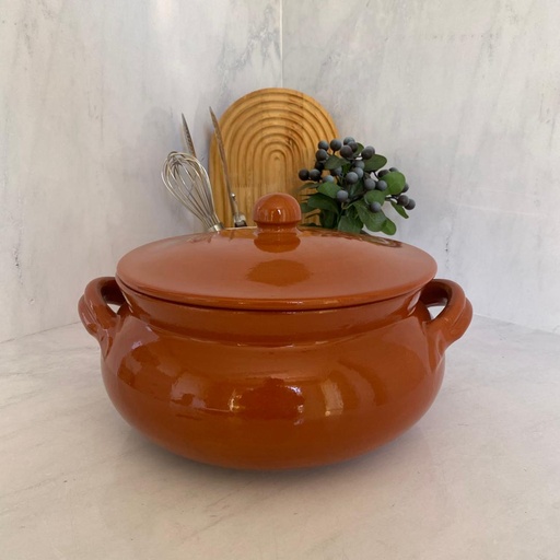 [C06728VIC] TEGAME 28CM AVEC COUVERCLE VINCI