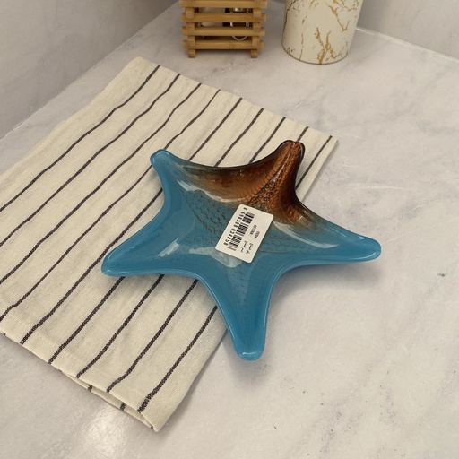 [19284] AK assiette 22 ASTERIA-METALLIC COPPER EDGE - COATED OP AQUA BLUE
