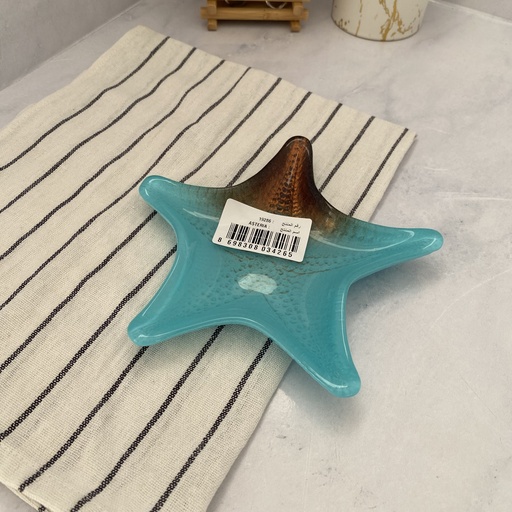 [19286] AK assiette 17 ASTERIA-METALLIC COPPER EDGE - COATED OP TURQUOISE